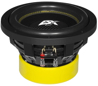 ESX QUANTUM QXE10D2 25 cm (10”) Subwoofer
