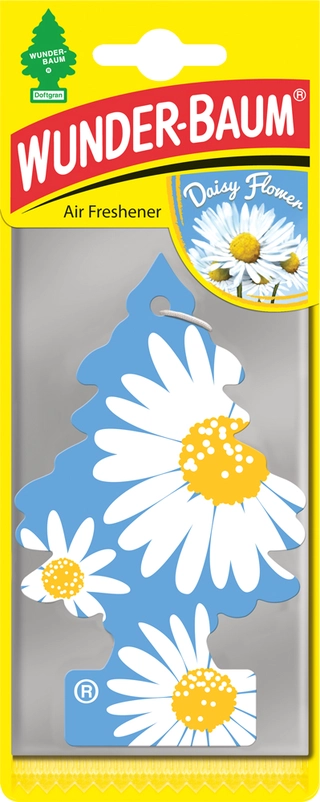 Wunder-Baum Daisy flower Daisy flower