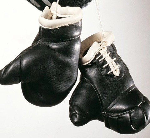 Boksehansker i sort skinnimitasjon Pynt opp i kjøretøyet med boksehansker 