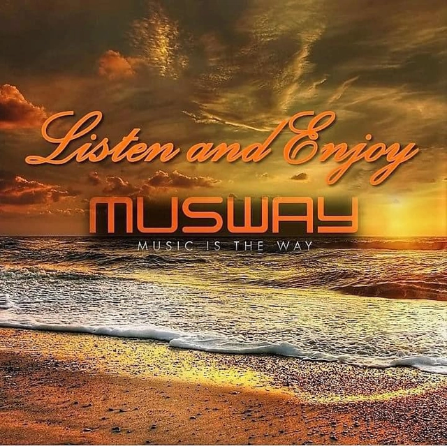 Musway 12-kanals DSP-forsterker 600W RMS 