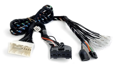 Audison APBMW REAMP2 For BMW/Mini
