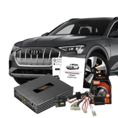 Lydoppgraderingspakke Audi e-tron e-tron (2019 - 2023) m/Audi Sound System